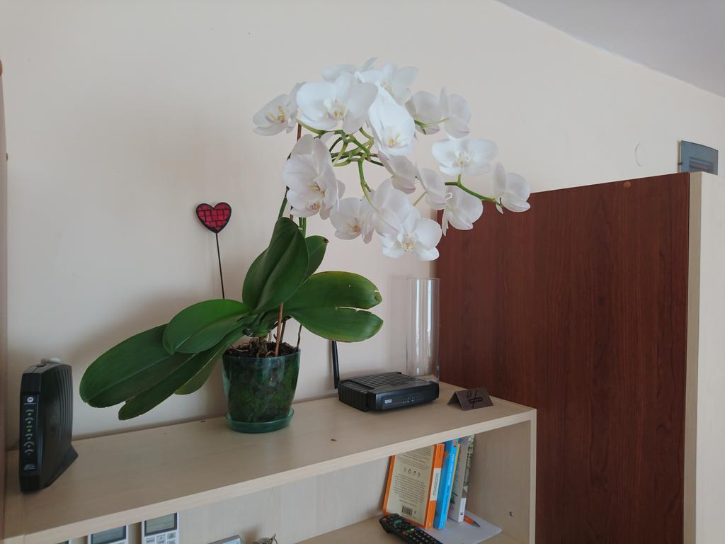 Park Apartments & Rooms Popovi ساندانسكي المظهر الخارجي الصورة